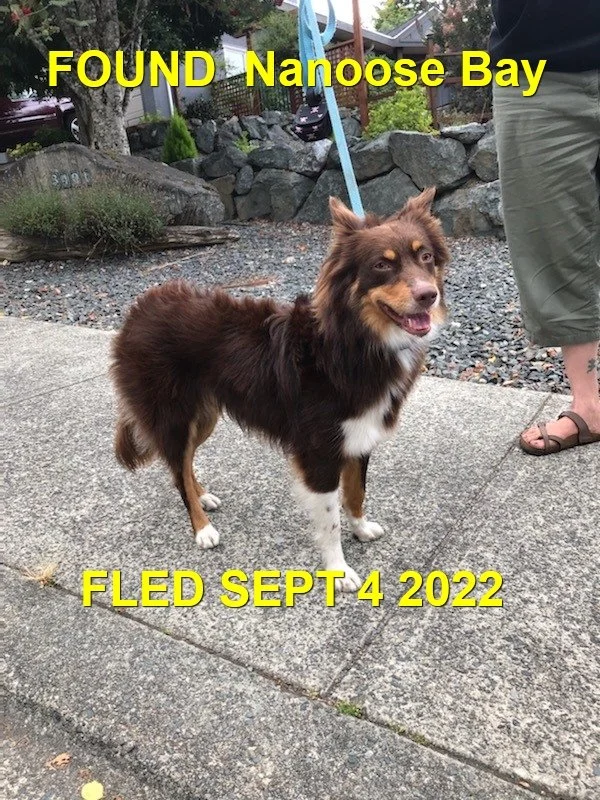 HAPPY ENDINGS - NANOOSE BAY BC. / SEPT. 4, 2022