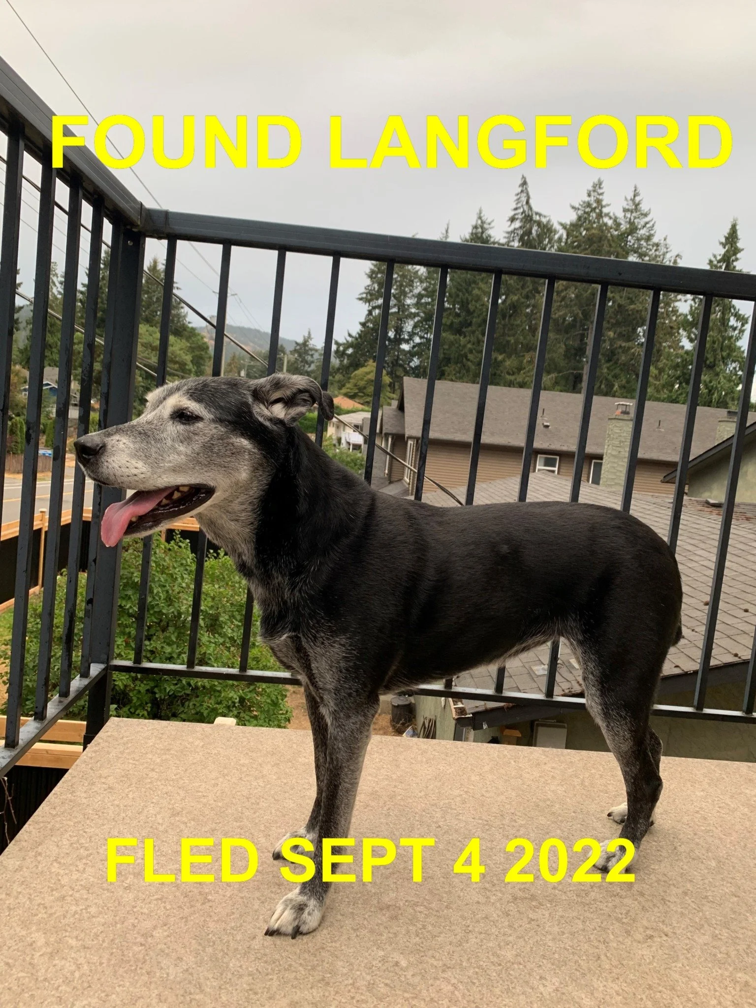 HAPPY ENDINGS - LANGFORD BC. / SEPT. 4, 2022