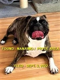 HAPPY ENDINGS - NANAIMO BC. / SEPT. 4, 2022