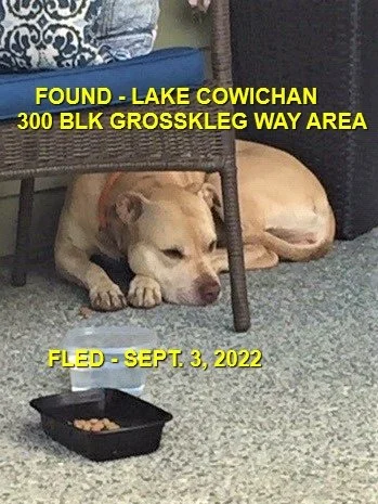 HAPPY ENDINGS - LAKE COWICHAN BC. /  SEPT. 3, 2022