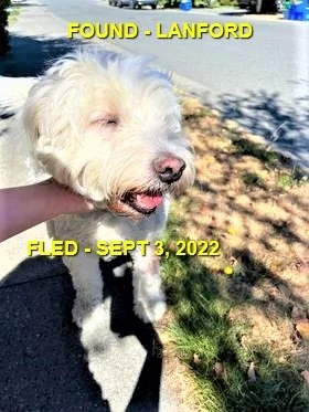 HAPPY ENDINGS - LANGFORD BC. / SEPT. 3, 2022