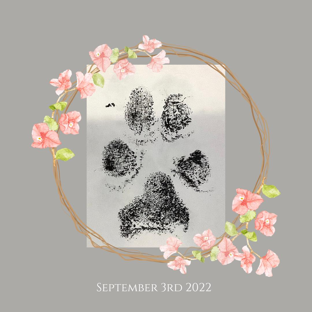 OVER THE RAINBOW BRIDGE - NANAIMO / SEPT. 3, 2022