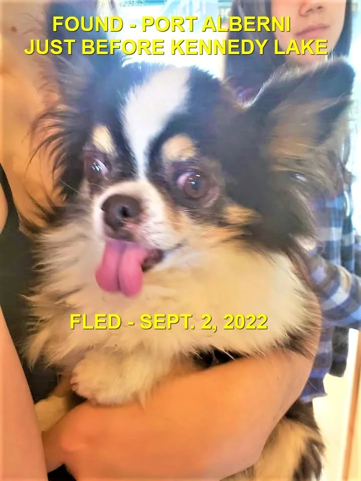 HAPPY ENDINGS - PORT ALBERNI BC. / SEPT. 2, 2022