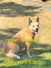 HAPPY ENDINGS - SAANICH BC. / GINGER / SEPT. 1, 2022