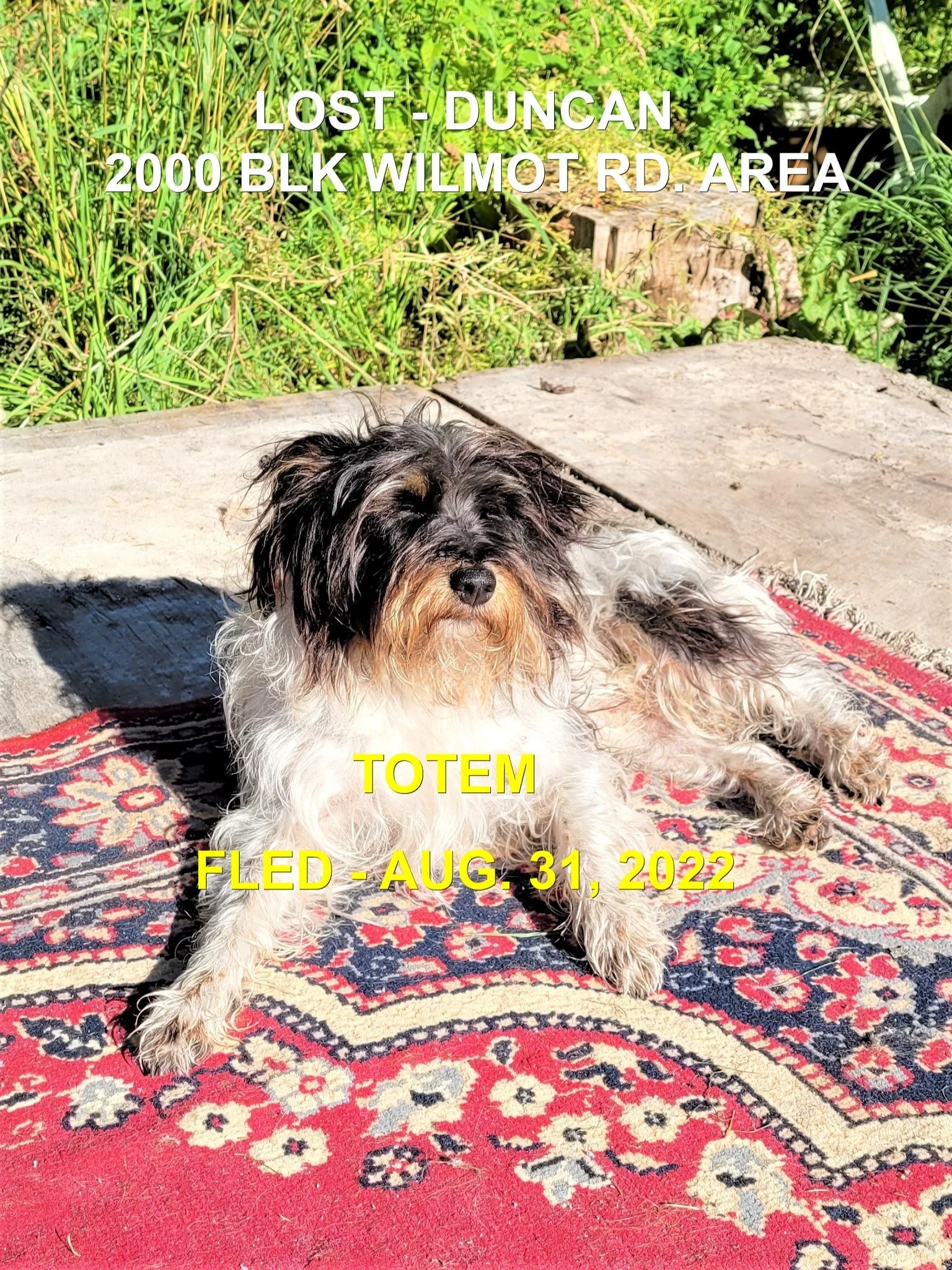 HAPPY ENDINGS - DUNCAN BC. / TOTEM / AUG. 31, 2022