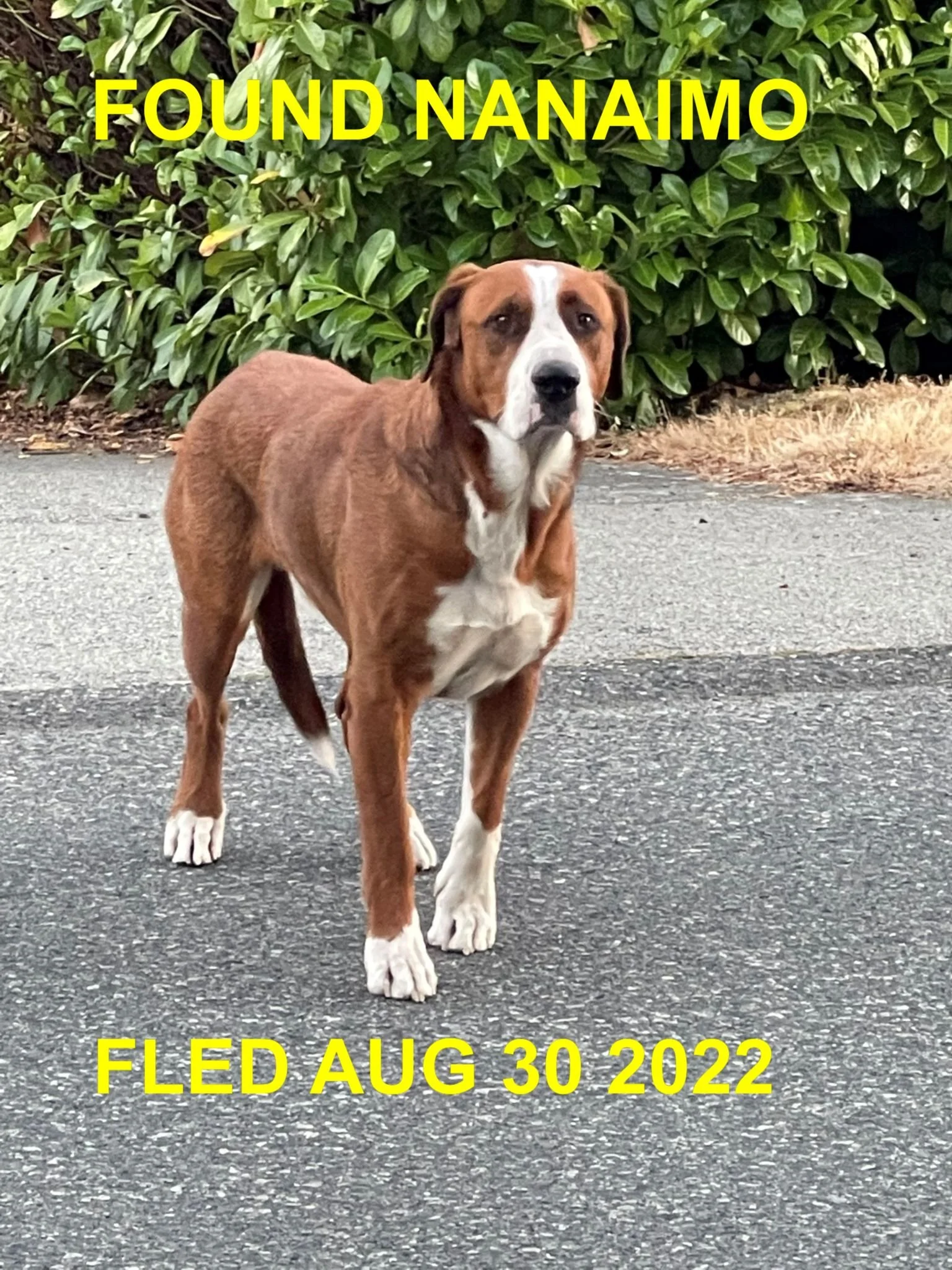 HAPPY ENDINGS - NANAIMO BC. / WRANGLER / AUG. 30, 2022