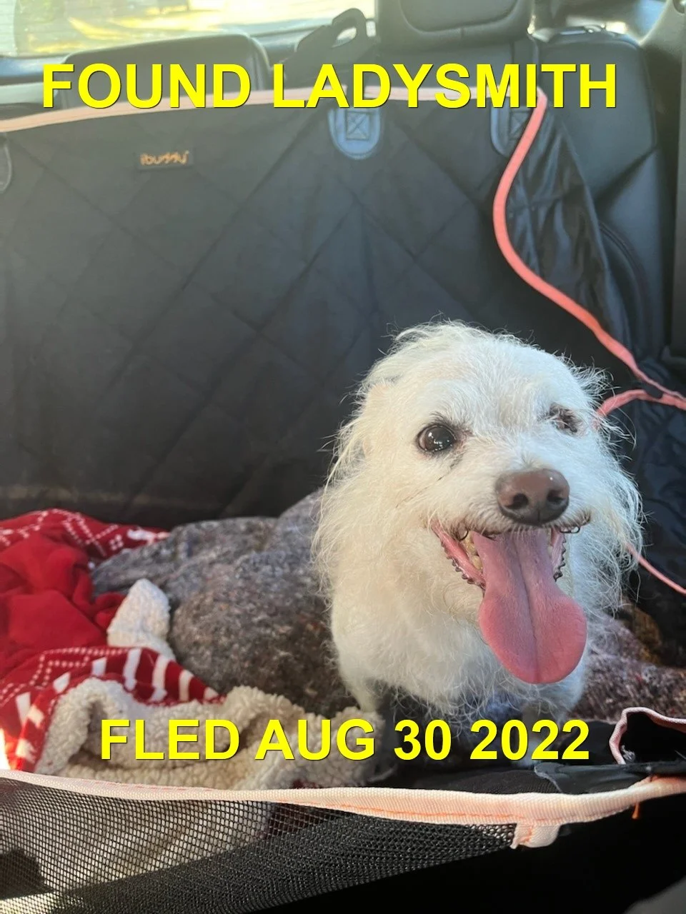 HAPPY ENDINGS - LADYSMITH BC. / AUG. 30, 2022