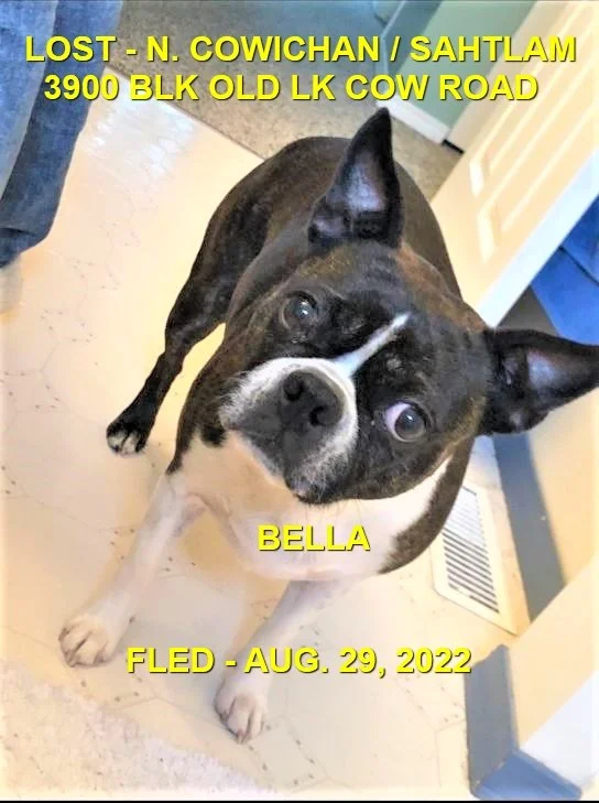 HAPPY ENDINGS - DUNCAN BC. / BELLA / AUG. 29, 2022