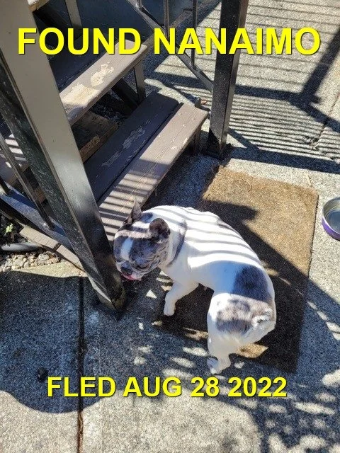 HAPPY ENDINGS - NANAIMO BC. / STELLA / AUG. 28, 2022