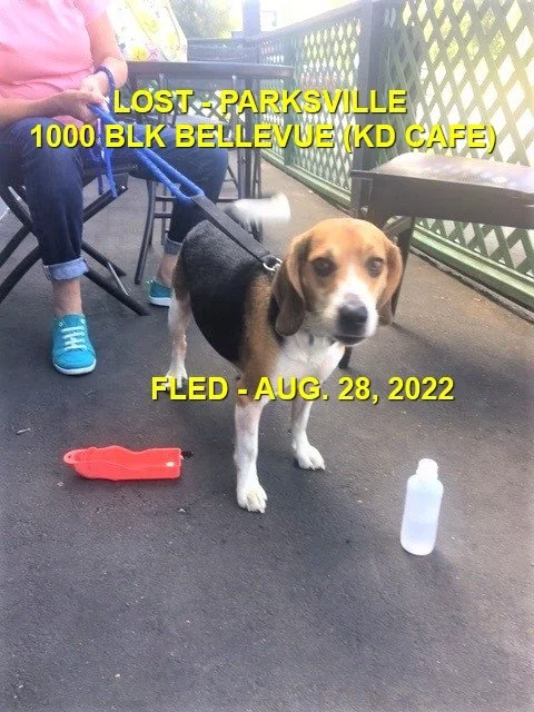 HAPPY ENDINGS - PARKSVILLE BC. / AUG. 28, 2022