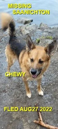 HAPPY ENDINGS - SAANICH BC. / CHEWY / AUG. 27, 2022