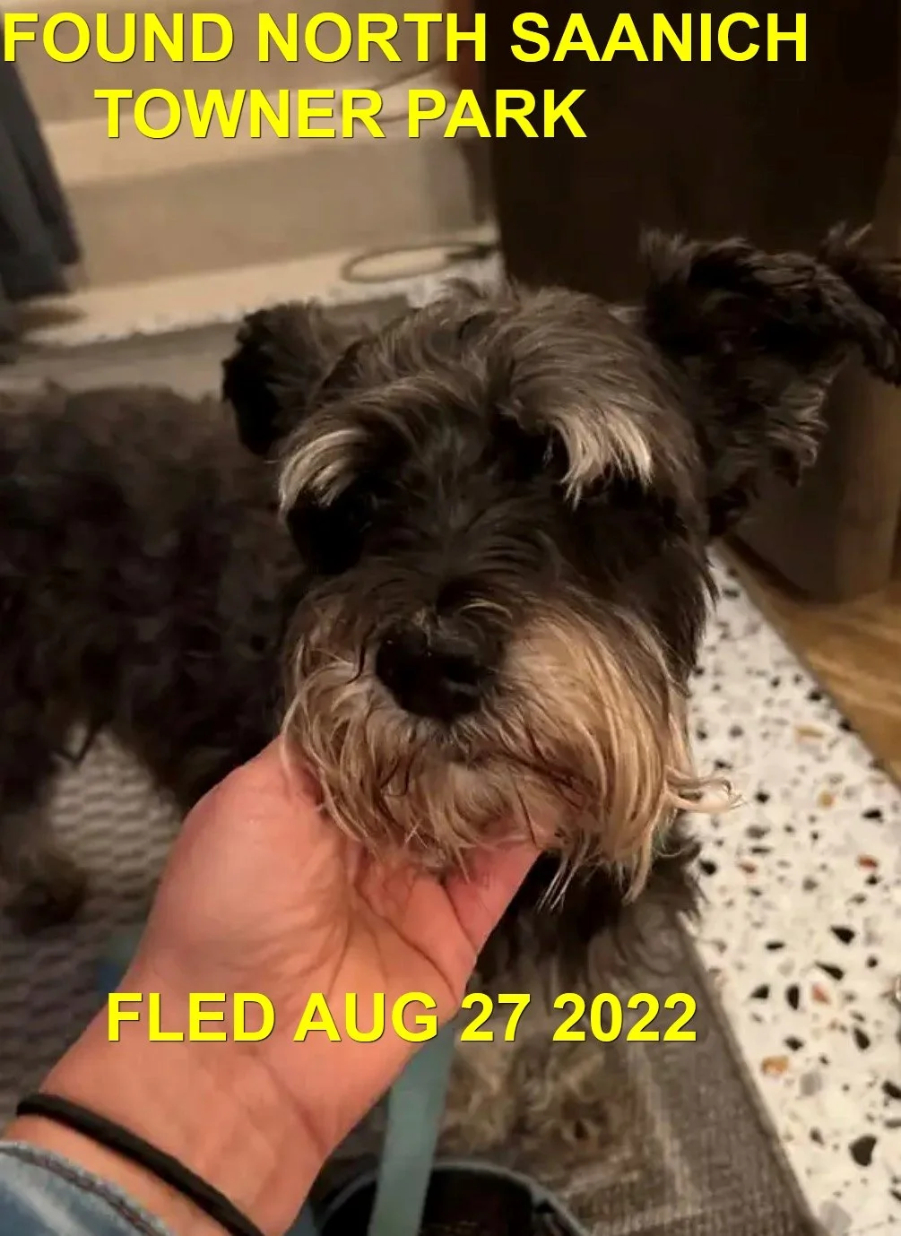 HAPPY ENDINGS - NORTH SAANICH BC. / AUG. 27, 2022