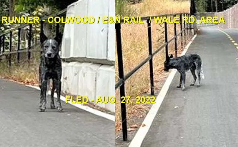 UNRESOLVED - COLWOOD BC. / AUG. 27, 2022