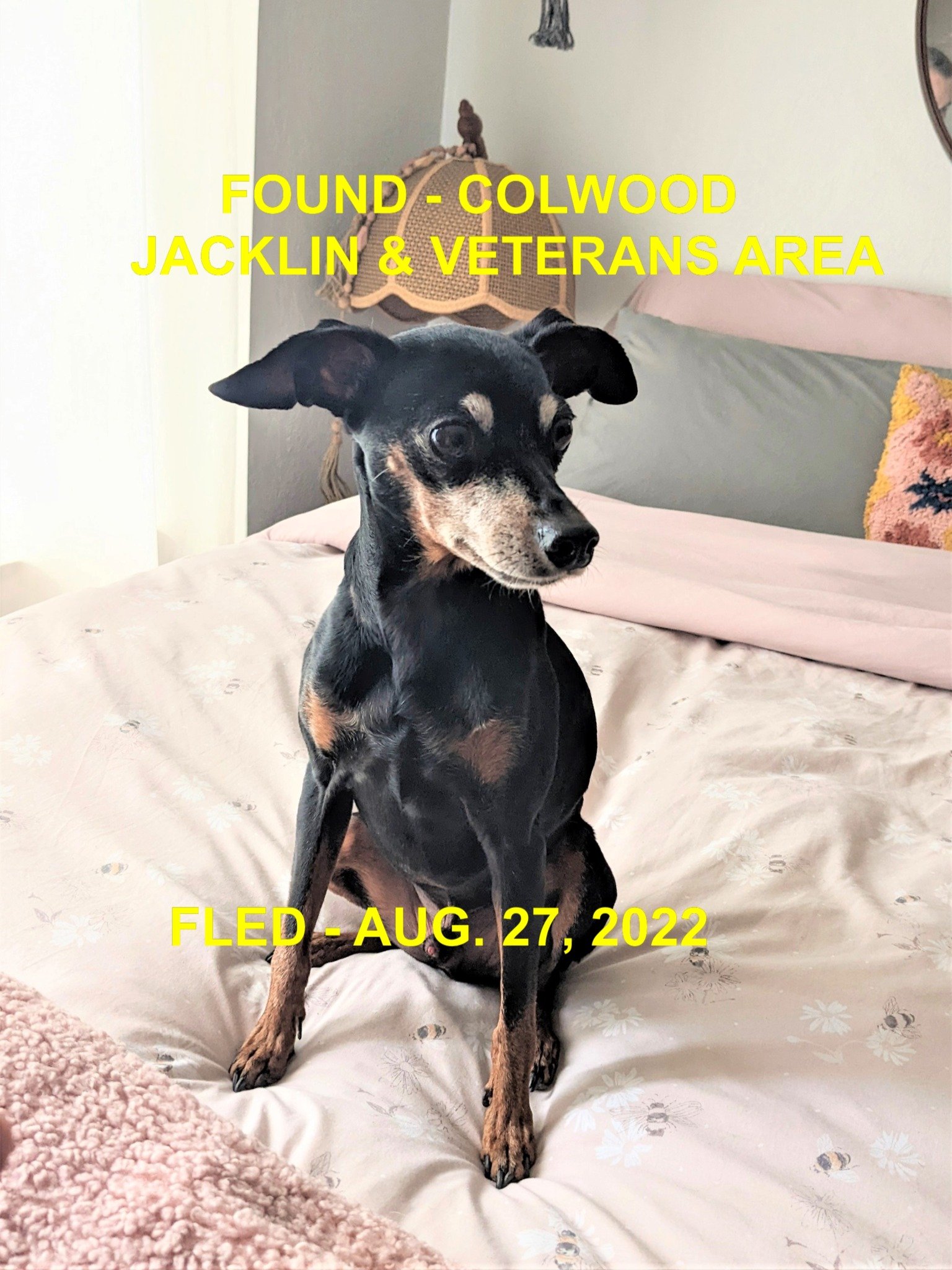 HAPPY ENDINGS - COLWOOD BC. / AUG. 27, 2022