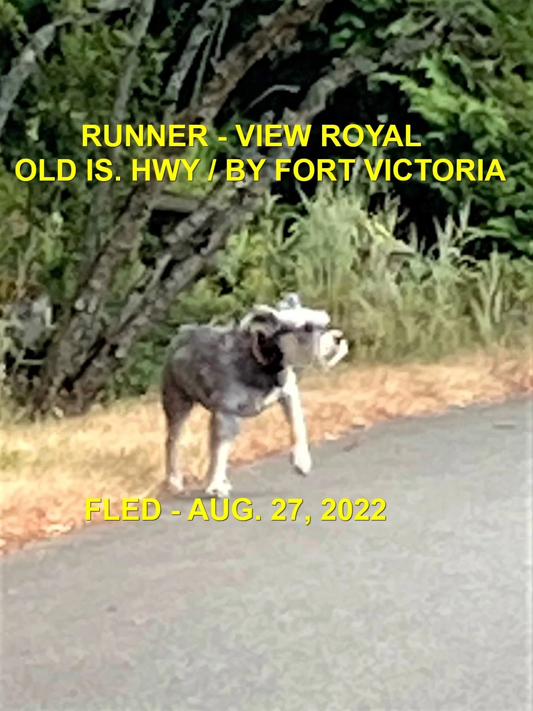 UNRESOLVED - VIEW ROYAL BC. / AUG. 27, 2022