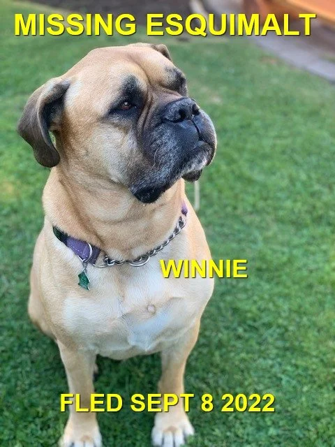 HAPPY ENDINGS - ESQUIMALT BC. / WINNIE / SEPT. 8, 2022