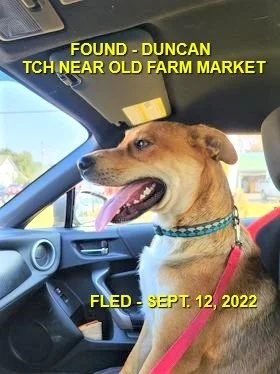 HAPPY ENDINGS - DUNCAN BC. / SEPT. 10, 2022