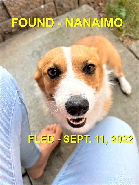 HAPPY ENDINGS - NANAIMO BC. / SEPT. 11, 2022