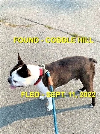 HAPPY ENDINGS - COBBLE HILL BC. / SEPT. 11, 2022