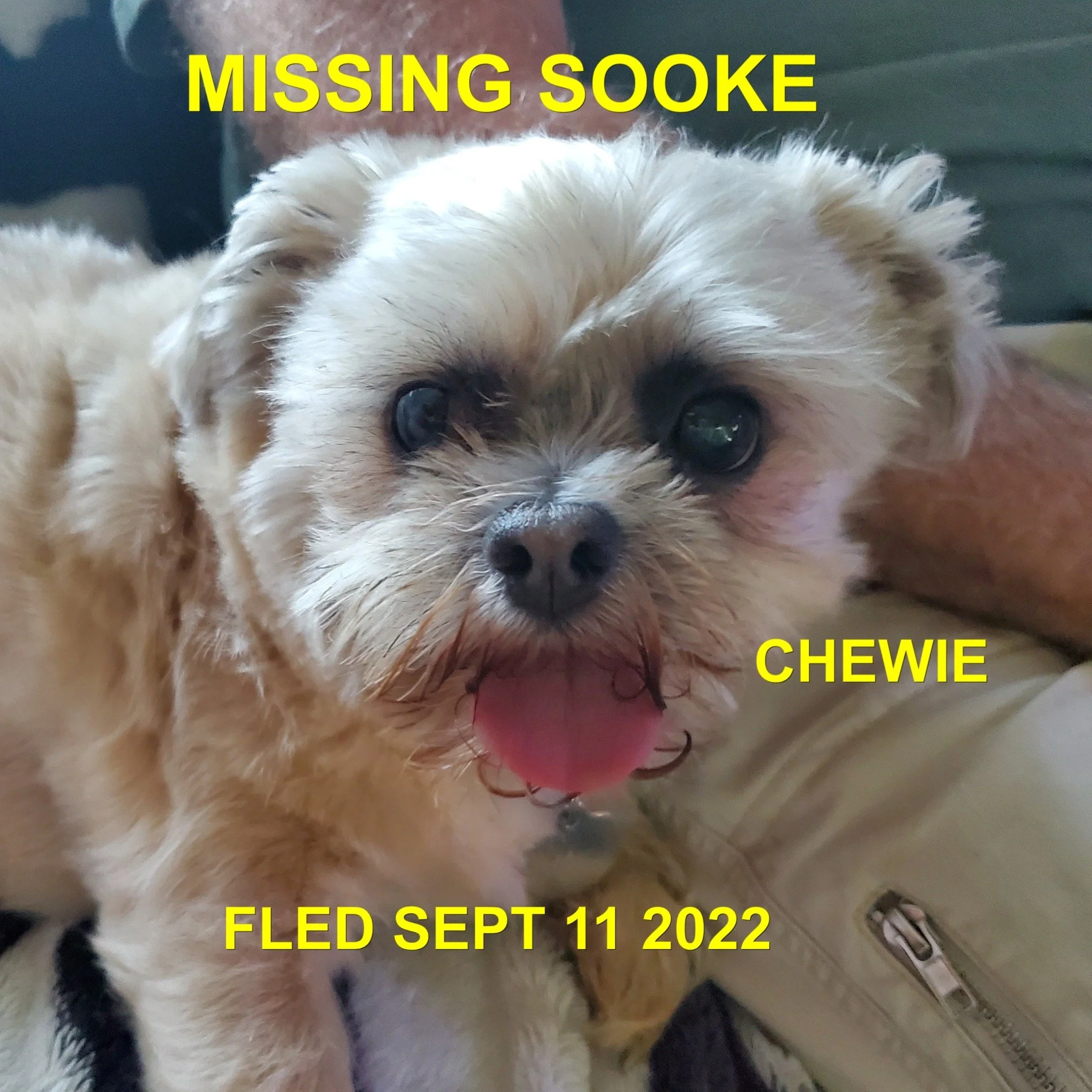 HAPPY ENDINGS - SOOKE BC. / CHEWIE / SEPT. 11, 2022