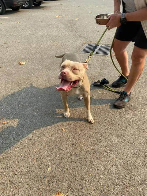 HAPPY ENDINGS - SOOKE BC. / SEPT. 10, 2022