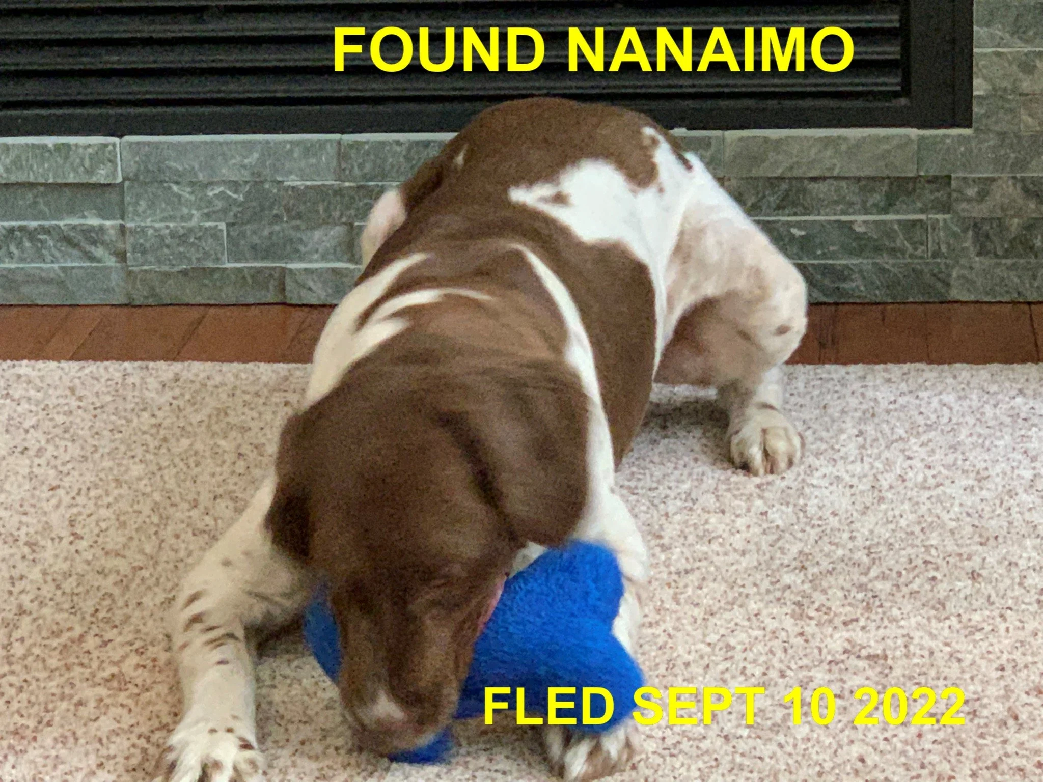 HAPPY ENDINGS - NANAIMO BC. / WILLIE / SEPT. 10, 2022