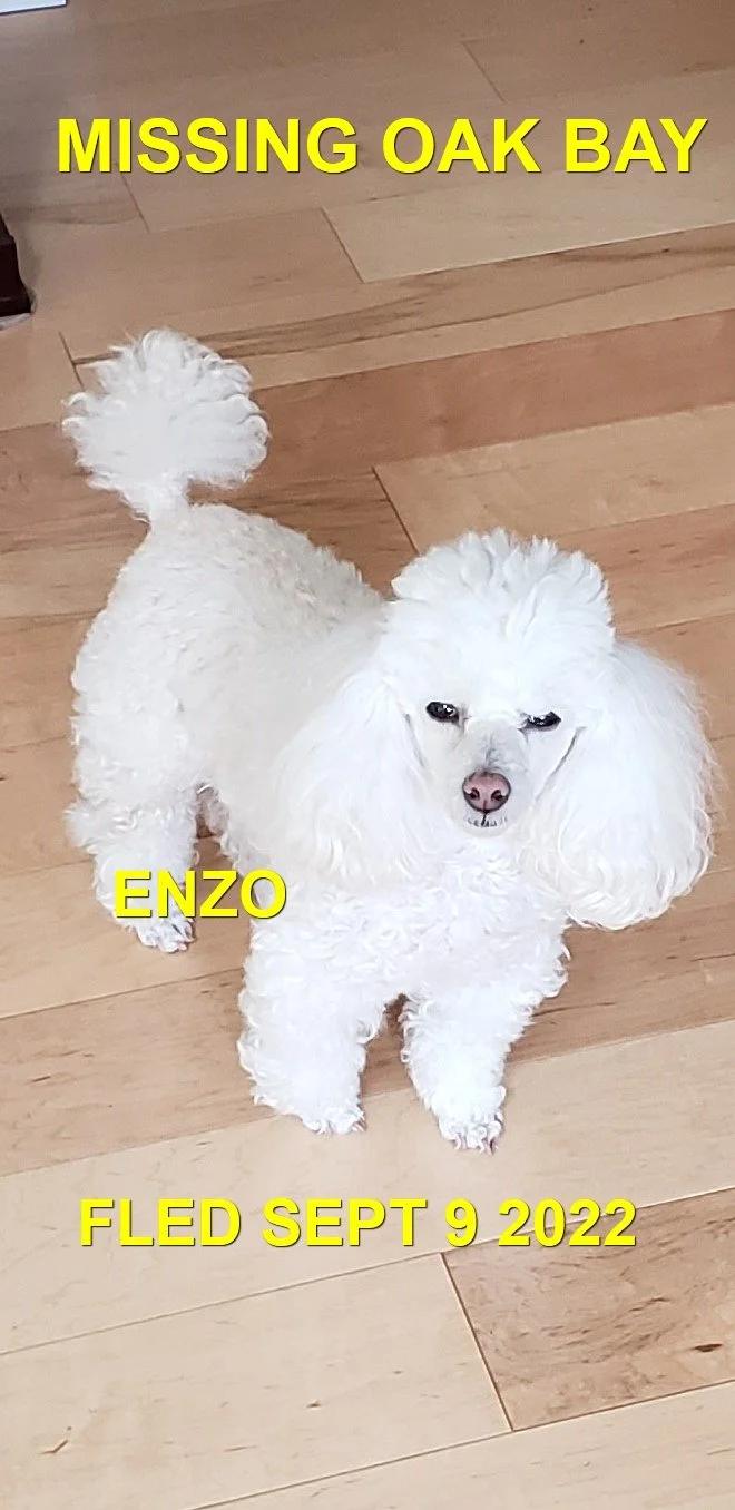 HAPPY ENDINGS - VICTORIA BC. (OAK BAY) / ENZO / SEPT 9, 2022