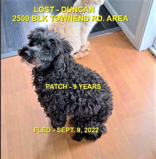 HAPPY ENDINGS - DUNCAN BC. / PATCH / SEPT. 9, 2022