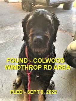 HAPPY ENDINGS - COLWOOD BC. / SEPT 8, 2022