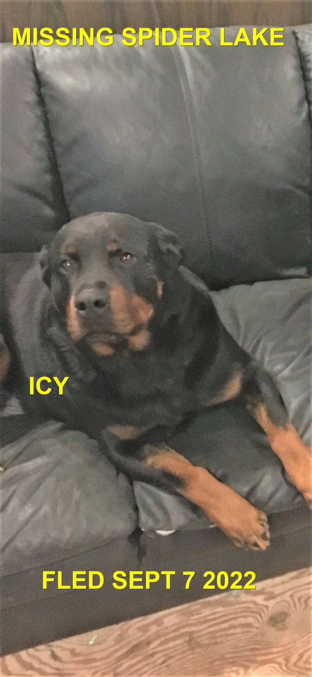 HAPPY ENDINGS - QUALICUM BEACH / ICY / SEPT. 6, 2022