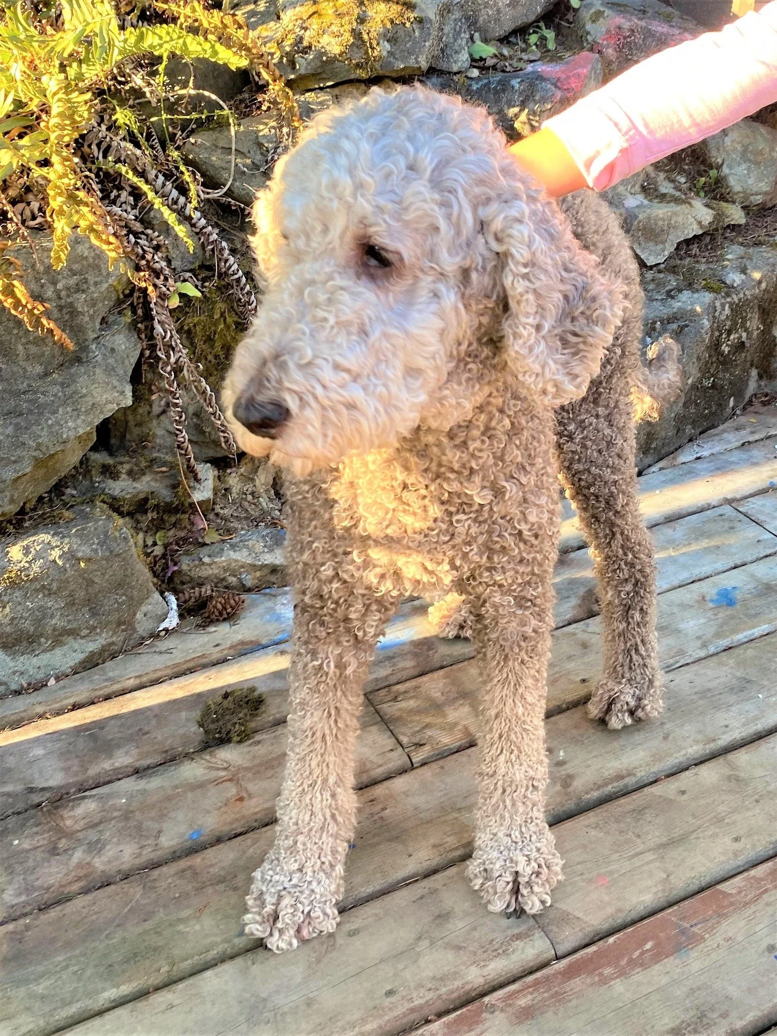 HAPPY ENDINGS - NANAIMO BC. / SEPT 7, 2022