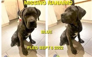 HAPPY ENDINGS - NANAIMO BC. / BLUE / SEPT. 6, 2022