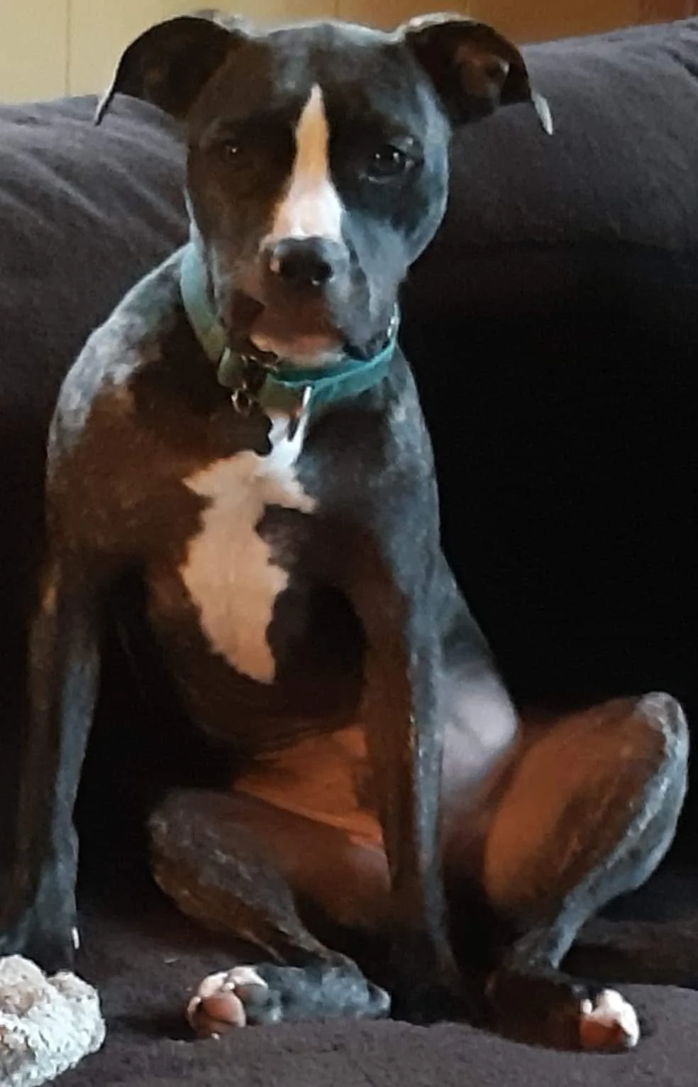 HAPPY ENDINGS - EAST HIGHLANDS BC. / CRAB / SEPT 6, 2022