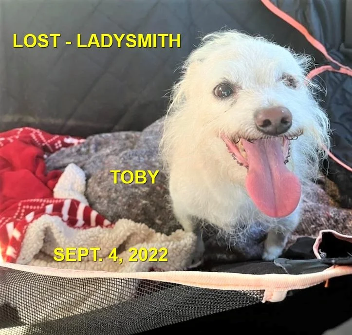 HAPPY ENDINGS - LADYSMITH BC. / TOBY / SEPT 4, 2022