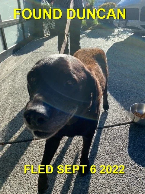 HAPPY ENDINGS - DUNCAN BC. / SEPT. 6, 2022