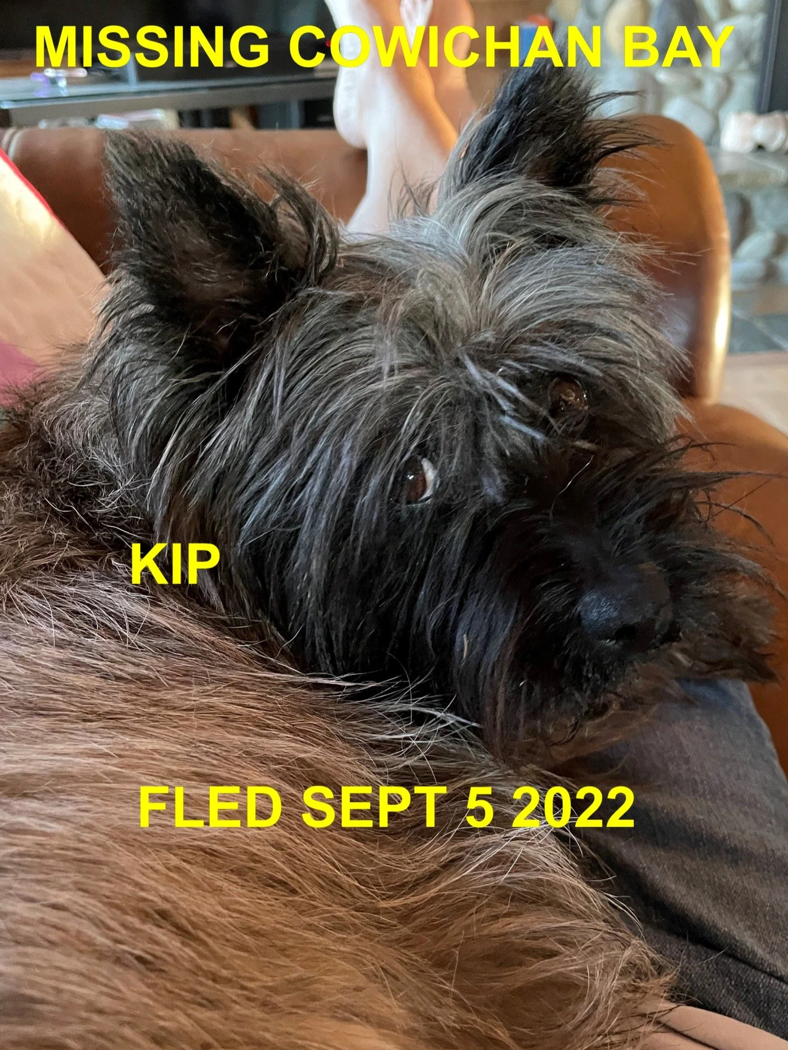 HAPPY ENDINGS - COWICHAN BAY BC. / KIP / SEPT. 5, 2022