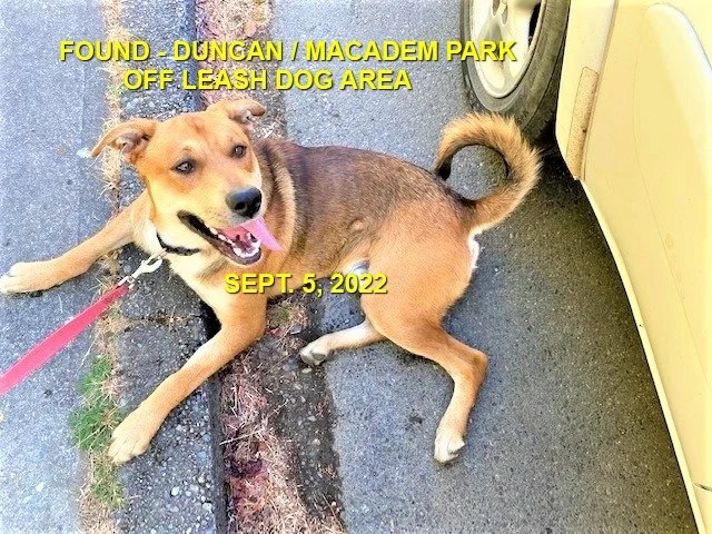 HAPPY ENDINGS - DUNCAN BC. / SEPT 5, 2022