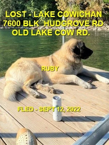 HAPPY ENDINGS - LAKE COWICHAN BC. / RUBY / SEPT 12, 2022