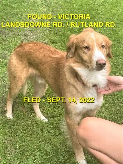 HAPPY ENDINGS - VICTORIA BC. / SEPT 14, 2022