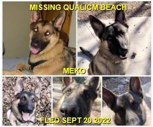 HAPPY ENDINGS - QUALICUM BAY BC. / MEKO / SEPT. 20, 2022