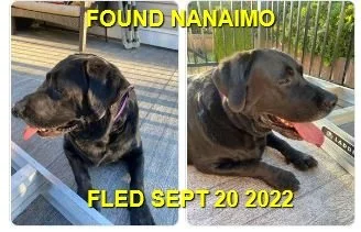 HAPPY ENDINGS - NANAIMO BC. / SEPT 20, 2022