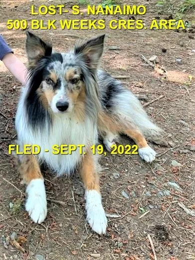 HAPPY ENDINGS - S. NANAIMO BC. / FLETCHER / SEPT 19, 2022