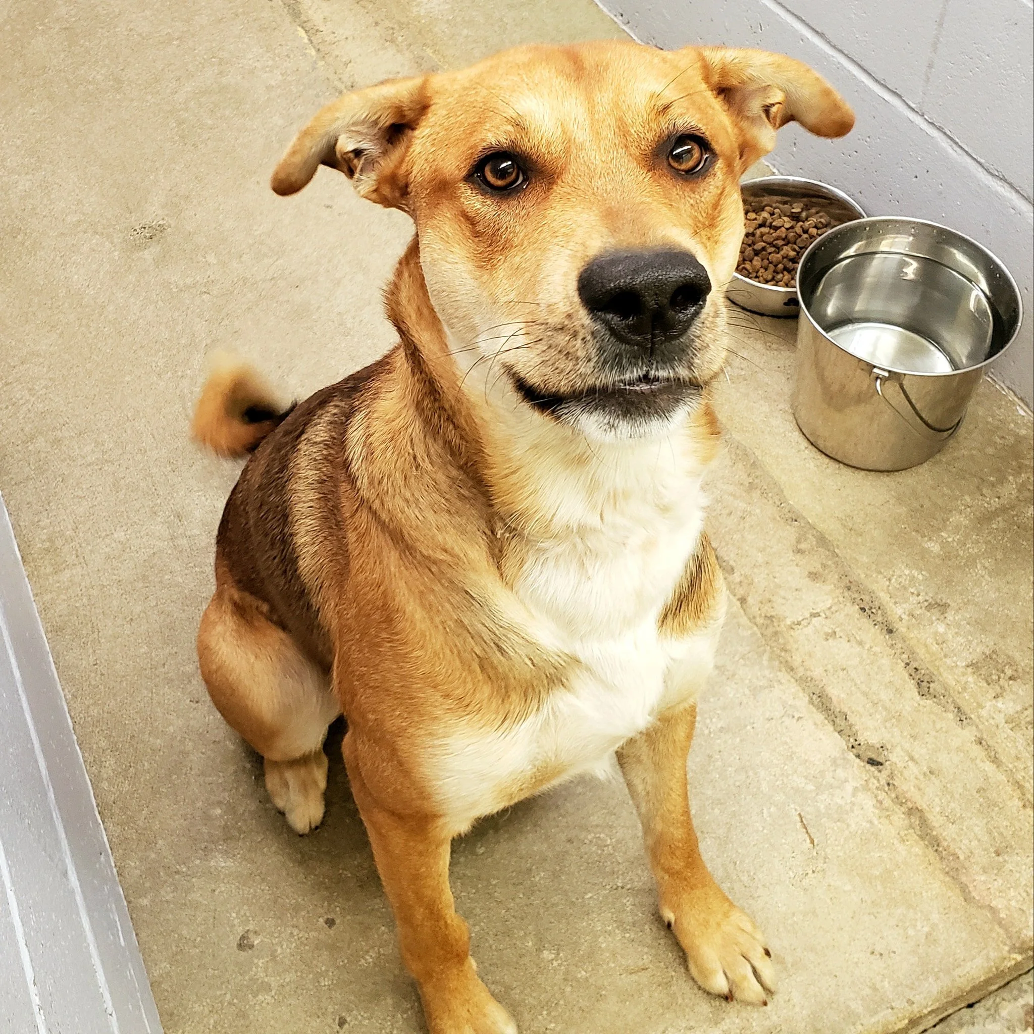 GONE TO SHELTER - HAPPY ENDINGS - DUNCAN BC. / ARSENAL / SEPT. 19, 2022