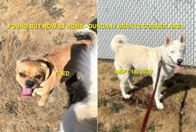 HAPPY ENDINGS - DUNCAN BC. / SEPT 18, 2022