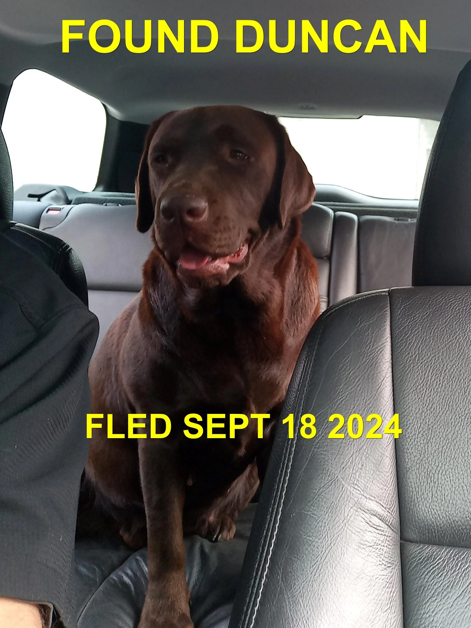 HAPPY ENDINGS - DUNCAN BC. / SEPT 17, 2022