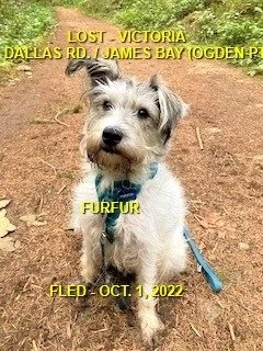 HAPPY ENDINGS - VICTORIA BC / FURFUR / OCT. 1, 2022