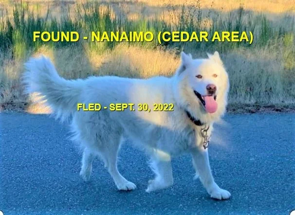 HAPPY ENDINGS - NANAIMO (CEDAR) BC / SEPT. 30, 2022