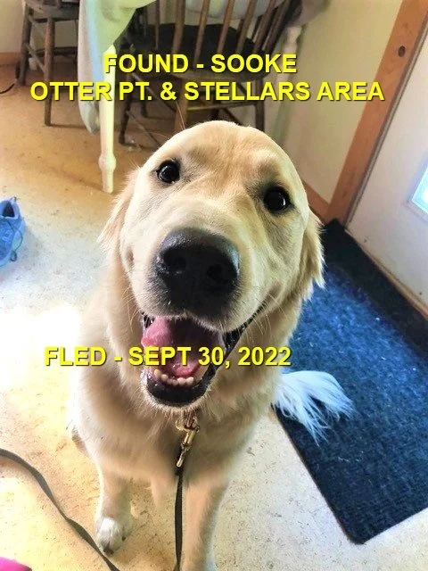 HAPPY ENDINGS - SOOKE BC. / SEPT. 30, 2022