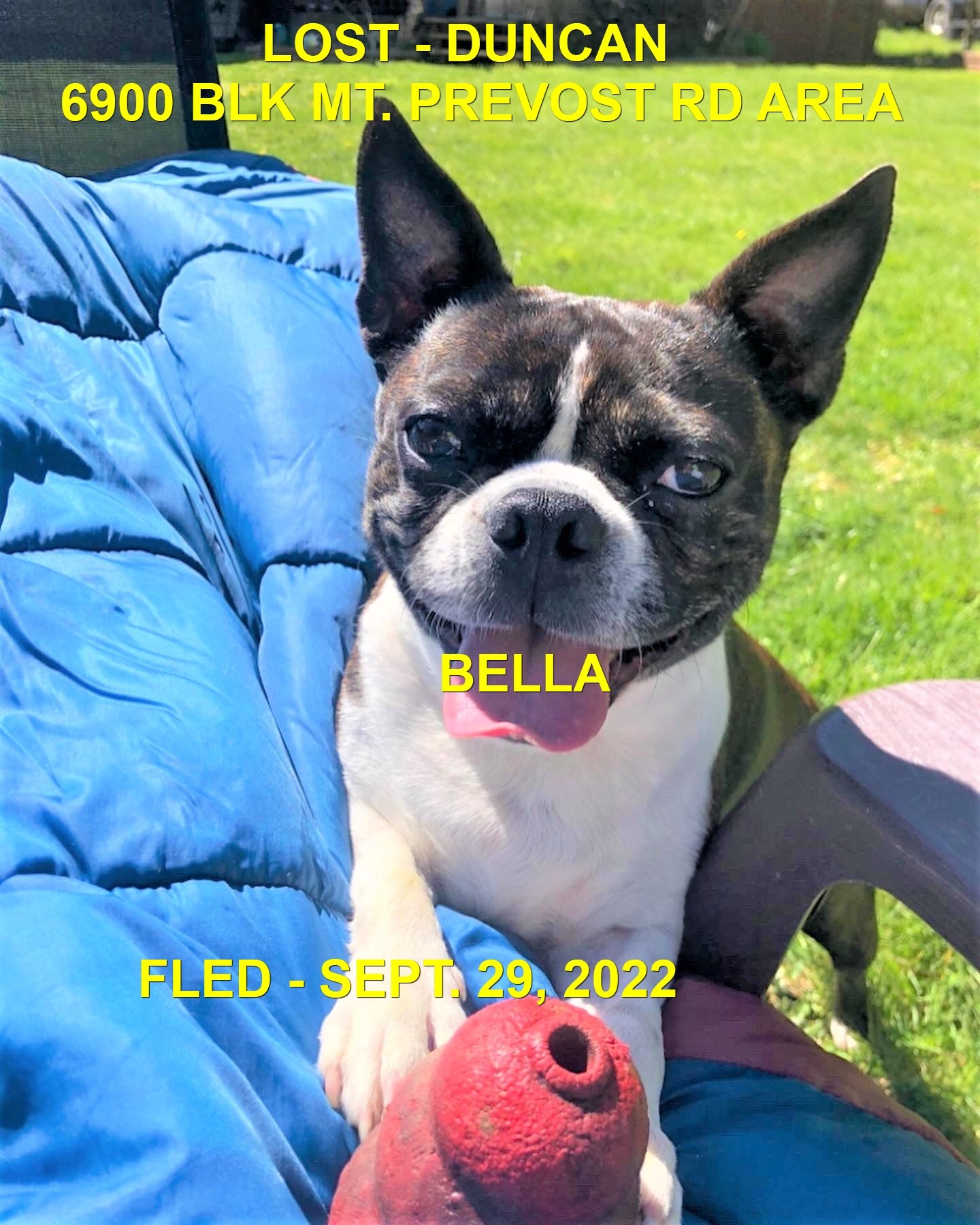 HAPPY ENDINGS - DUNCAN BC. / BELLA / SEPT. 29, 2022