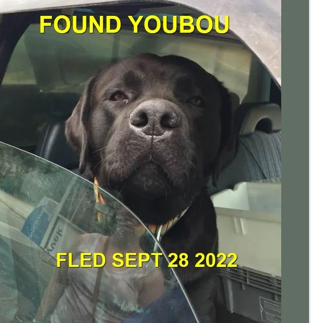 UNRESOLVED - YOUBOU BC. / CHANCE / SEPT. 28, 2022